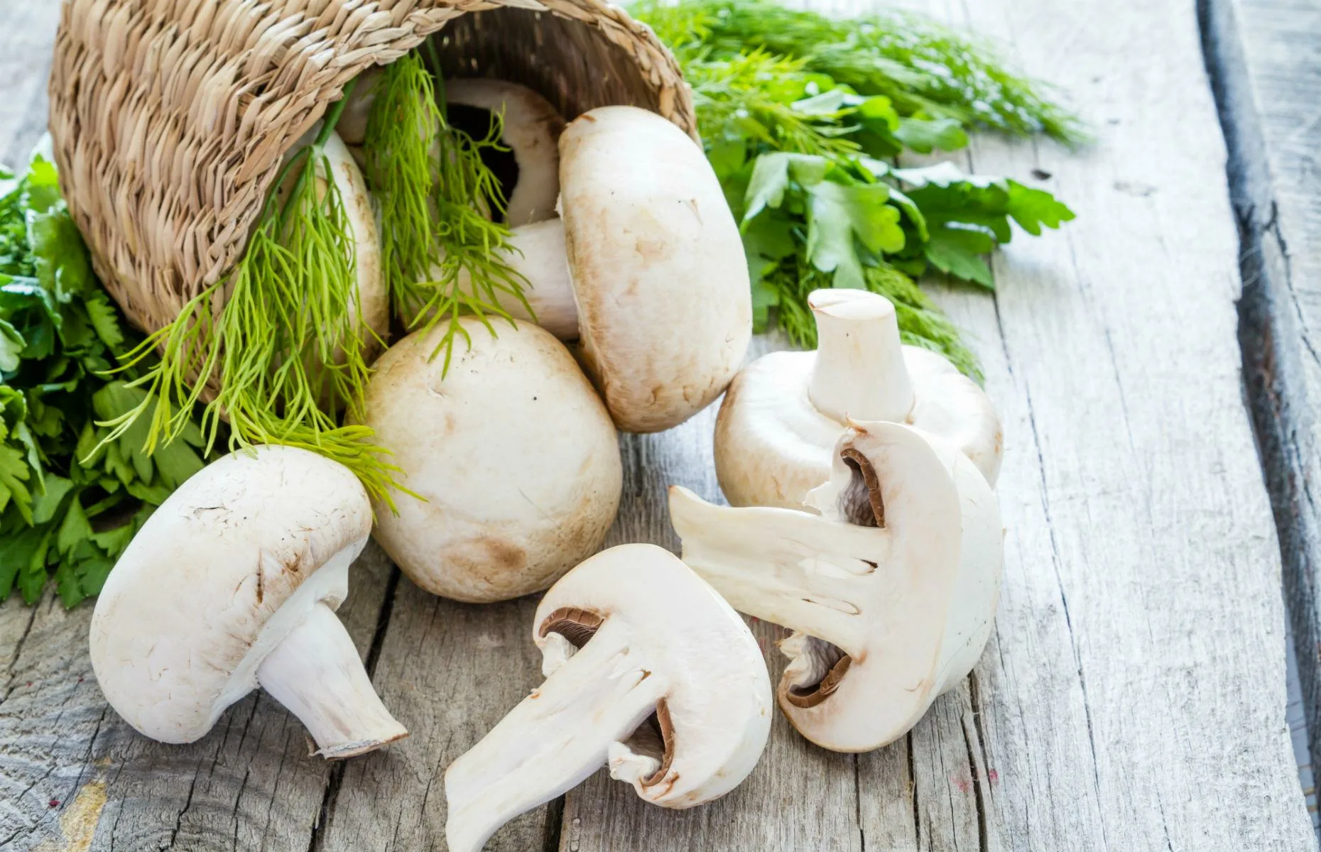 قارچ بسته بندی مخصوص پخت ‌و ‌پز سالم